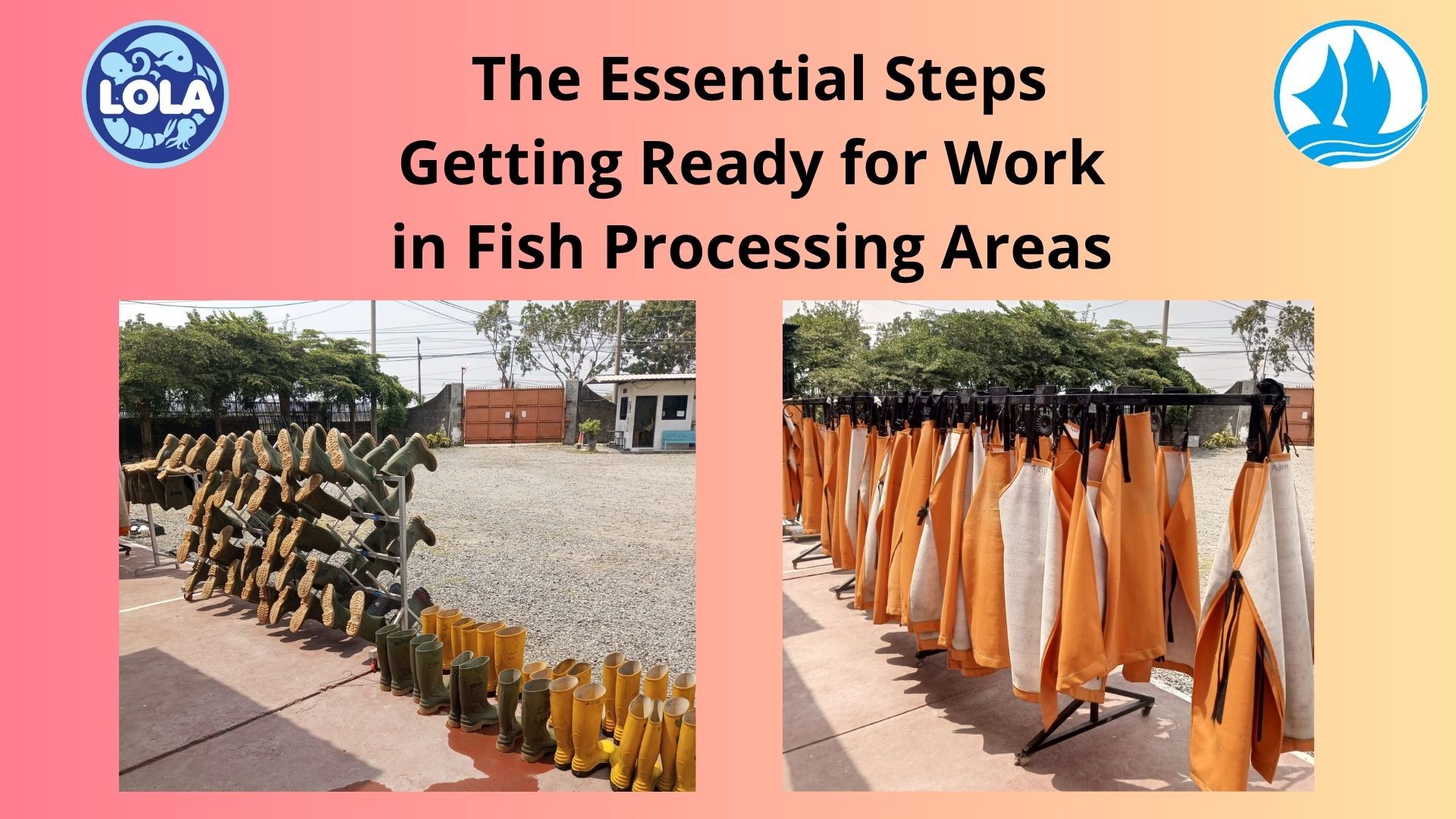   The Essential Steps Getting Ready for Work in Fish Processing Areas
